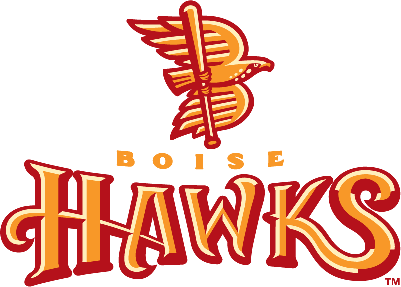 Boise Hawks 2007-2010 Primary Logo iron on heat transfer